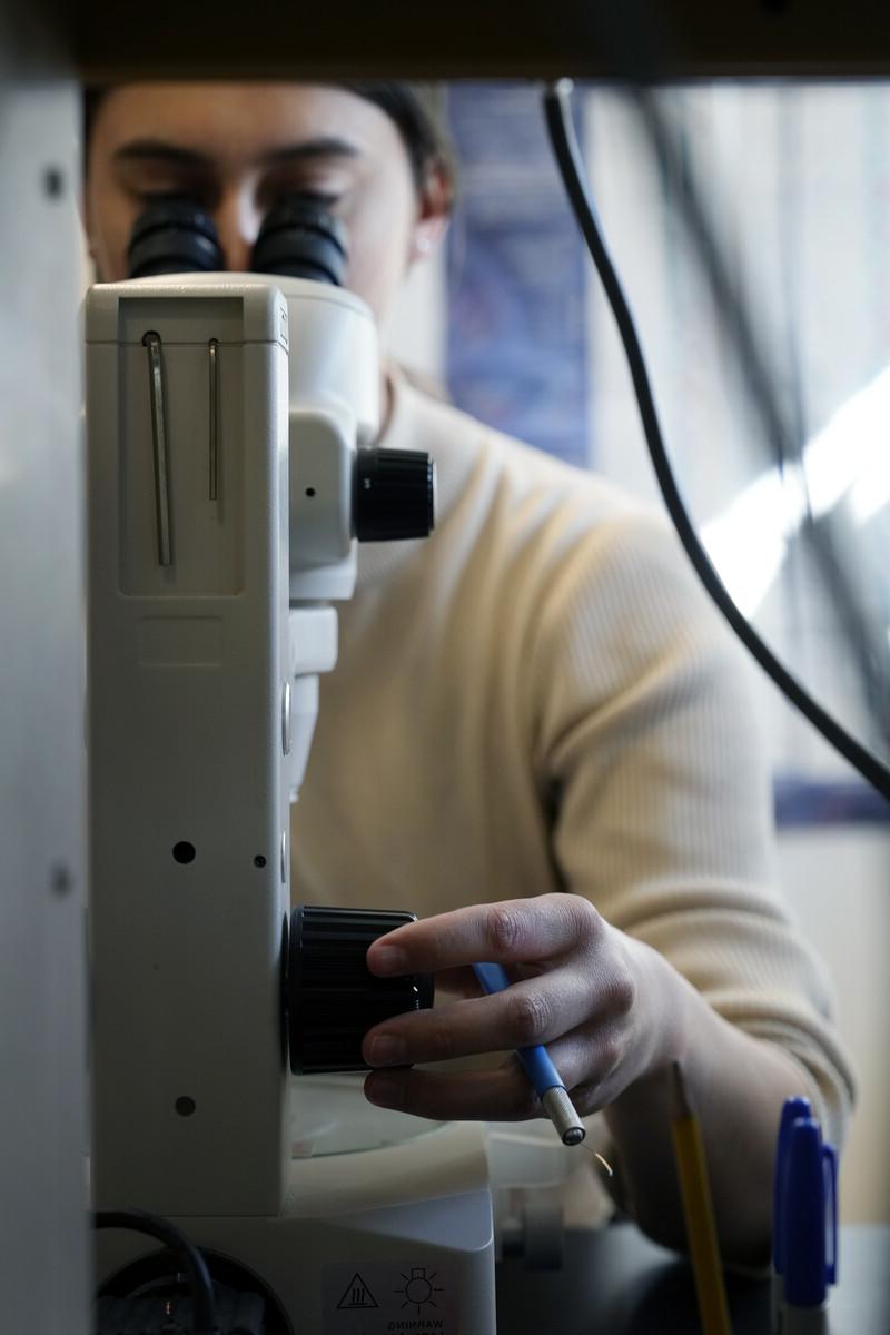 Person using an advanced microscope
